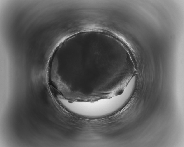 X0000096411463200801311342