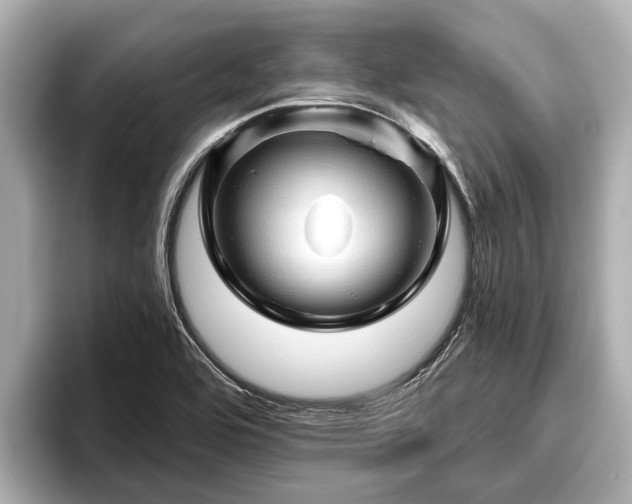 X0000096411464200801311342