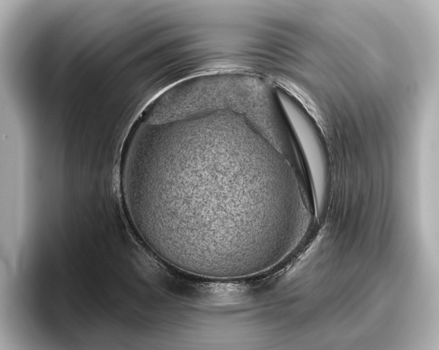 X0000096411465200801311342
