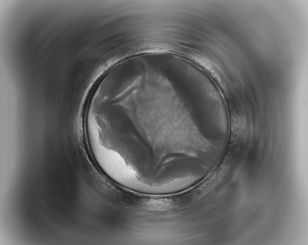 X0000096411466200801311342