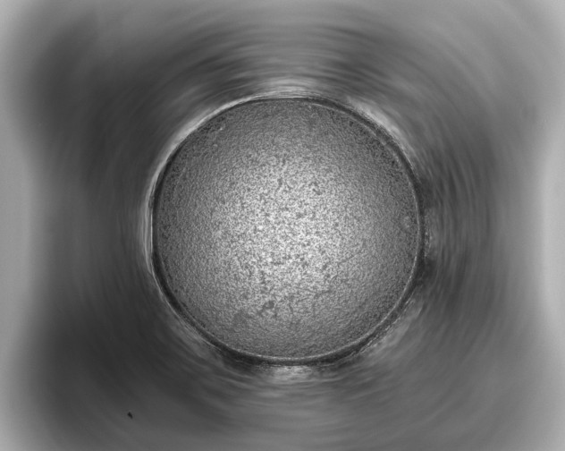 X0000096411467200801311342