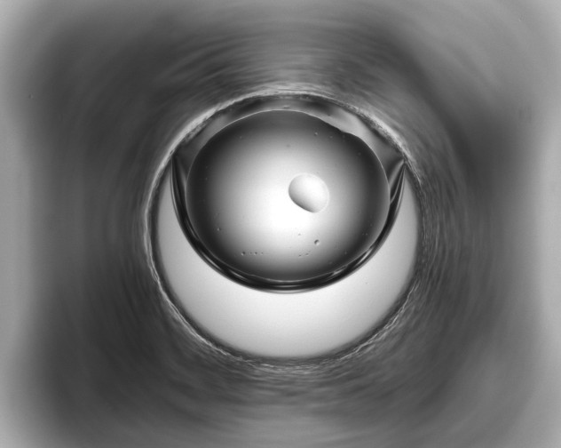X0000096411468200801311342