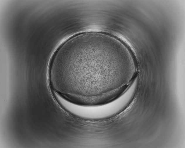 X0000096411469200801311342