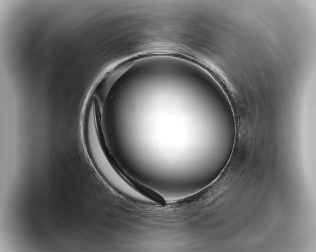 X0000096411472200801311342