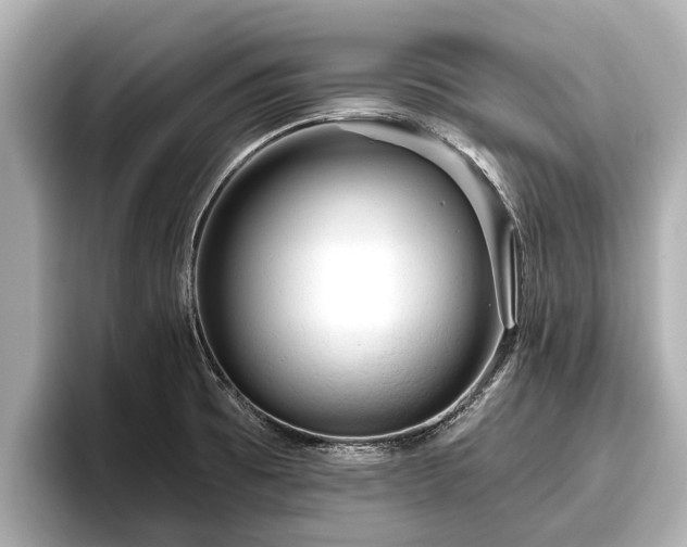 X0000096411473200801311342