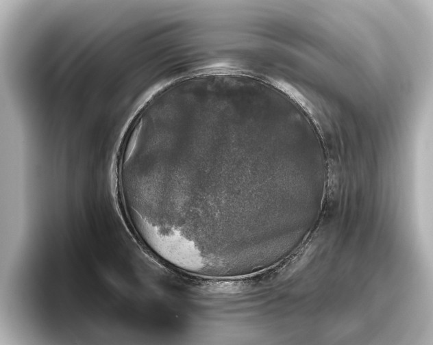 X0000096411474200801311342