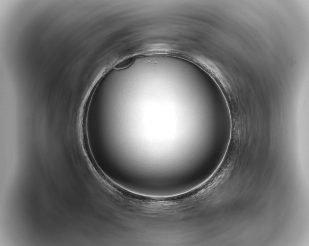 X0000096411475200801311342
