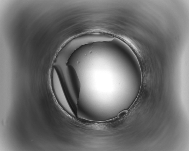 X0000096411476200801311342