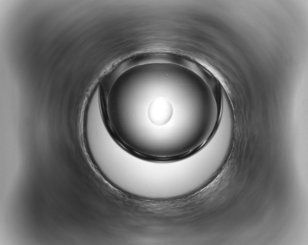 X0000096411477200801311342