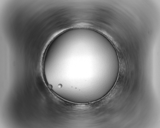 X0000096411478200801311342