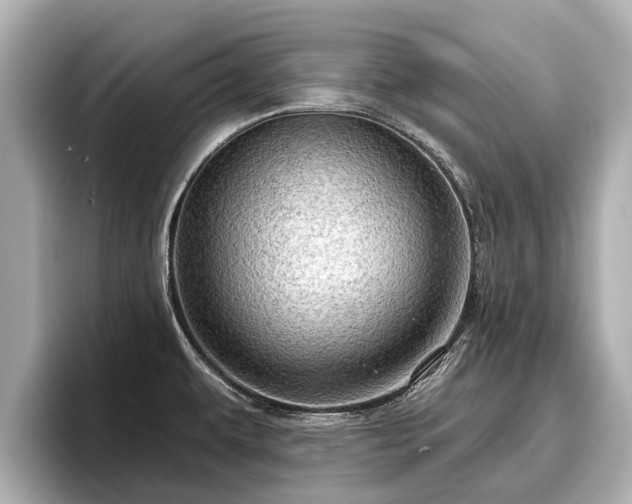 X0000096411479200801311342