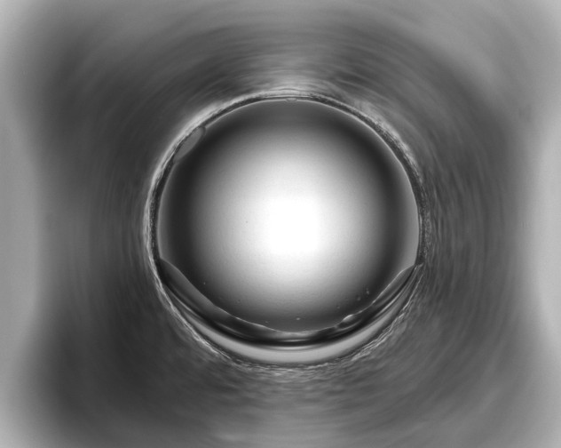 X0000096411480200801311342