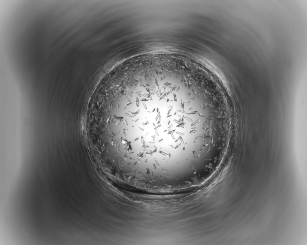 X0000096411481200801311342