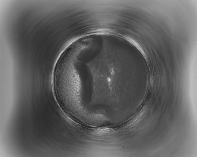X0000096411482200801311342