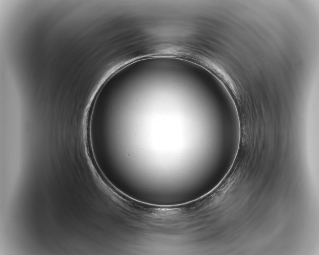 X0000096411483200801311342