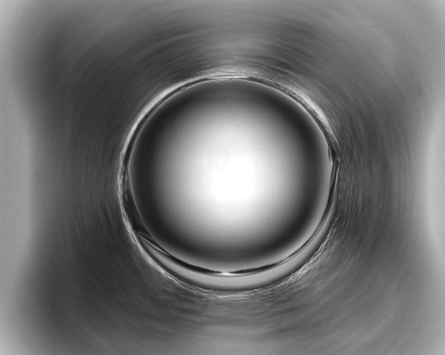 X0000096411484200801311342