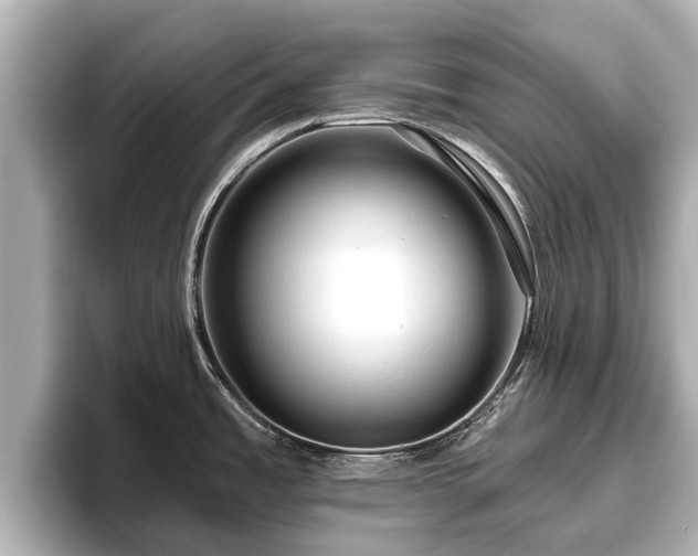 X0000096411485200801311342