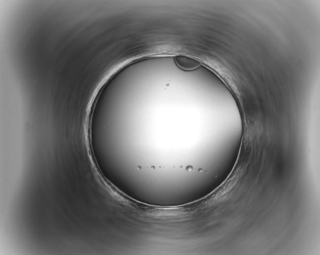 X0000096411486200801311342