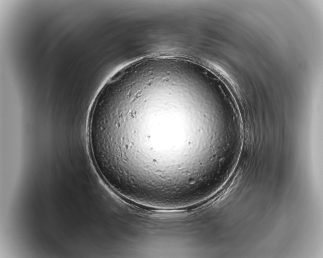 X0000096411487200801311342