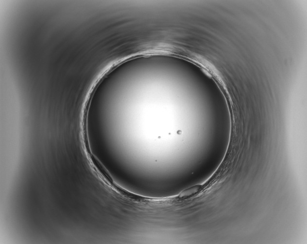 X0000096411488200801311342