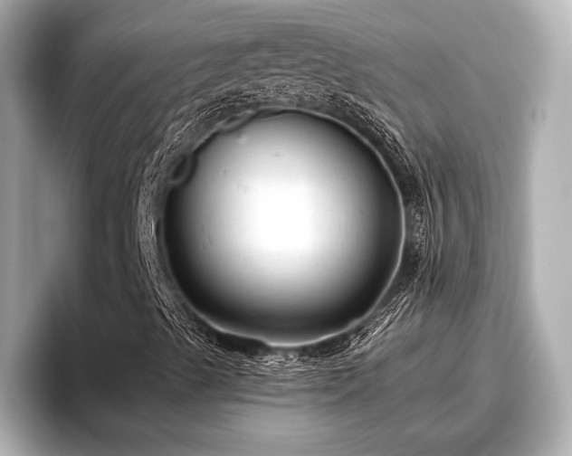 X0000096411489200801311342