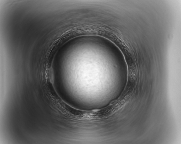 X0000096411490200801311342