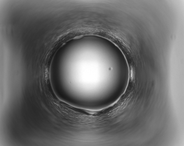 X0000096411492200801311342