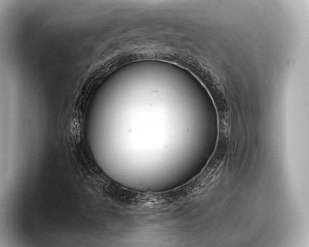 X0000096411493200801311342