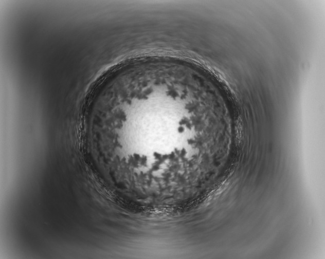 X0000096411494200801311342