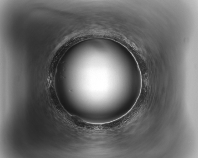 X0000096411495200801311342