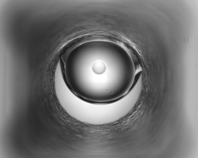X0000096411496200801311342