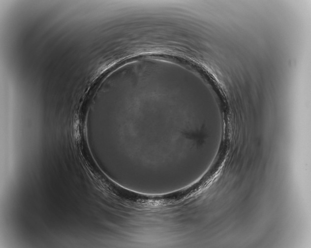 X0000096411497200801311342