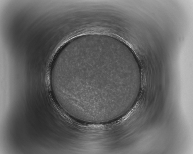 X0000096411498200801311342