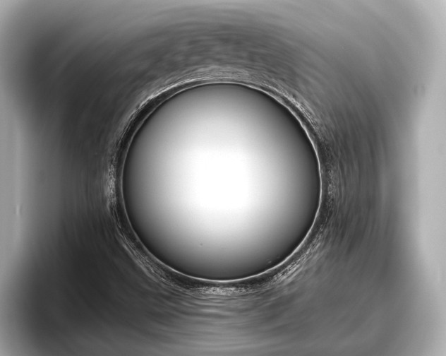 X0000096411499200801311342
