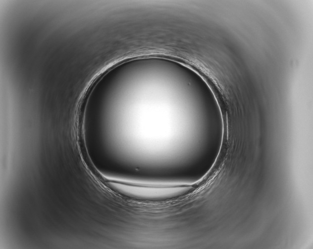 X0000096411500200801311342