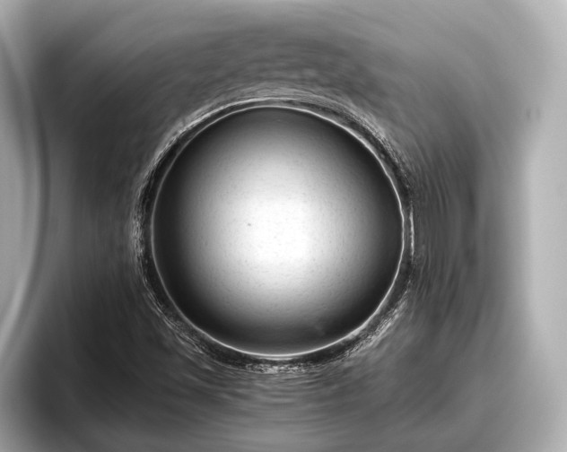 X0000096411501200801311342