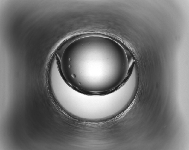 X0000096411502200801311342