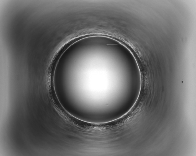 X0000096411503200801311342
