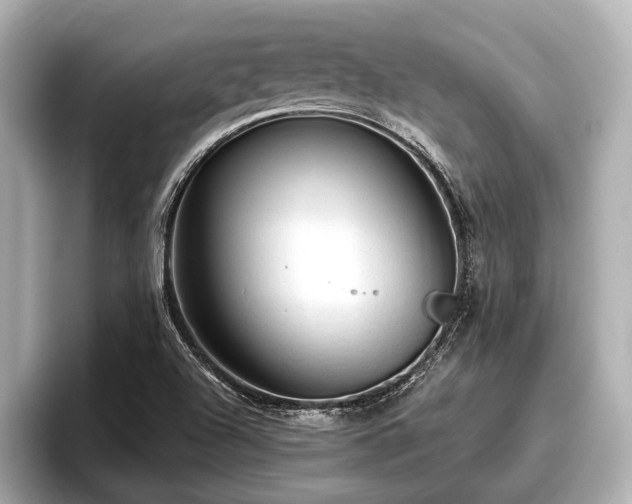 X0000096411504200801311342
