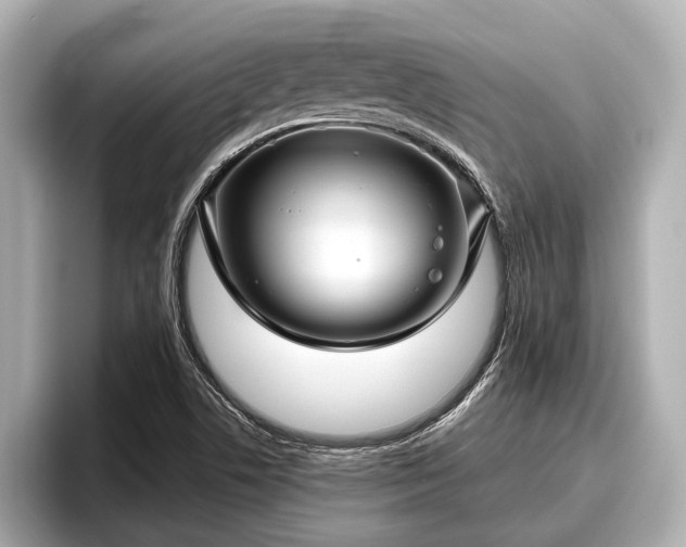 X0000096411506200801311342