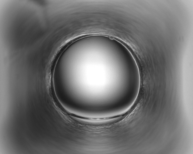 X0000096411507200801311342