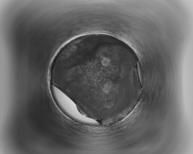 X0000096411508200801311342
