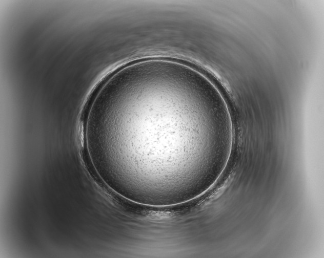 X0000096411509200801311342