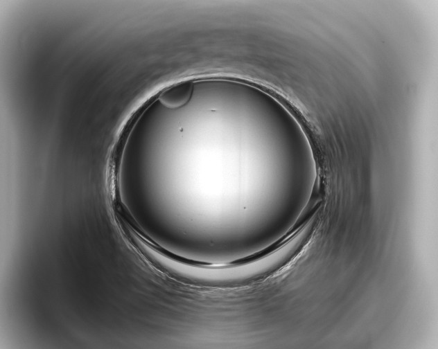 X0000096411510200801311342