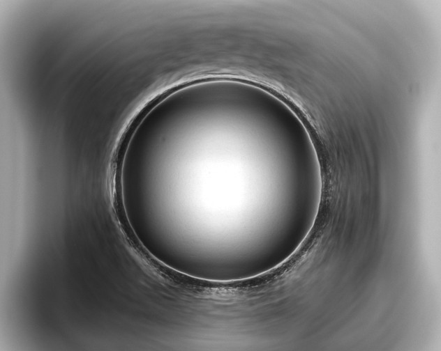 X0000096411511200801311342