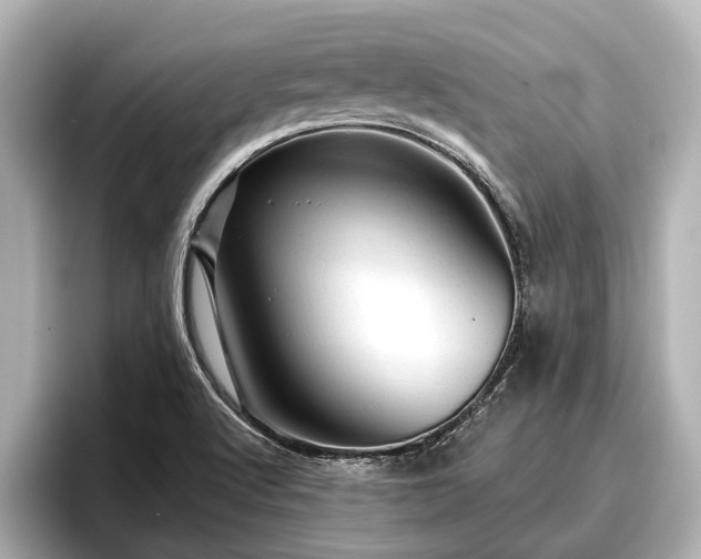 X0000096411512200801311342