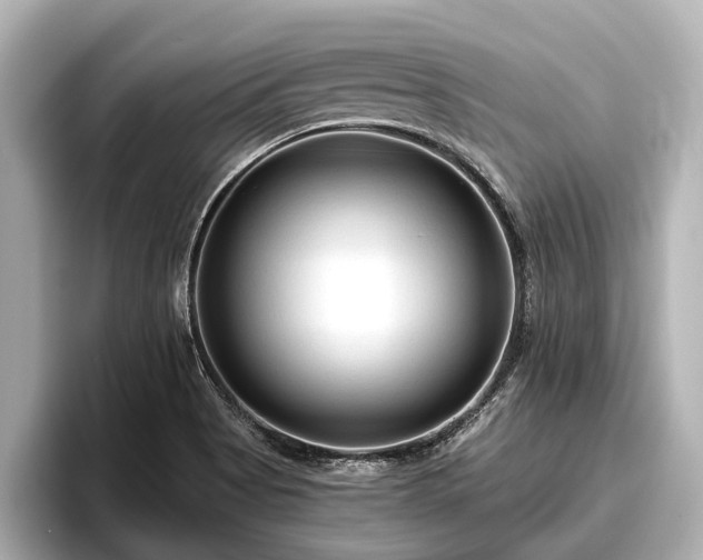 X0000096411513200801311342