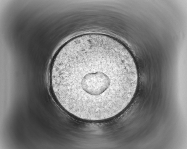 X0000096411514200801311342