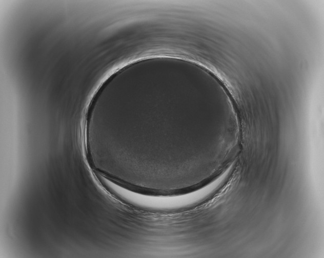 X0000096411515200801311342