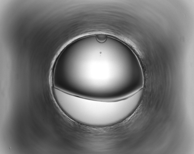 X0000096411516200801311342